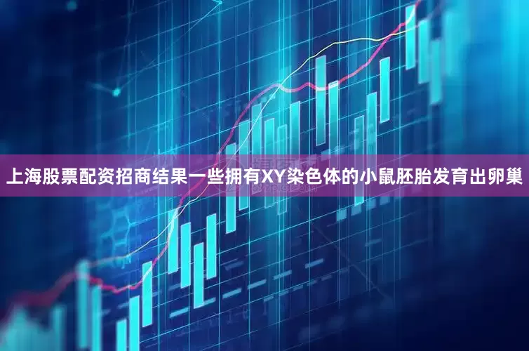 上海股票配资招商结果一些拥有XY染色体的小鼠胚胎发育出卵巢