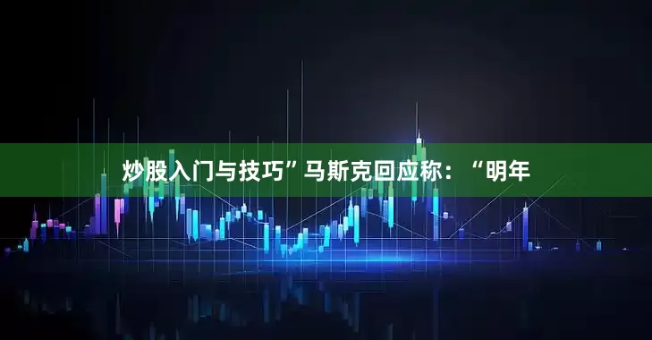 炒股入门与技巧”马斯克回应称：“明年