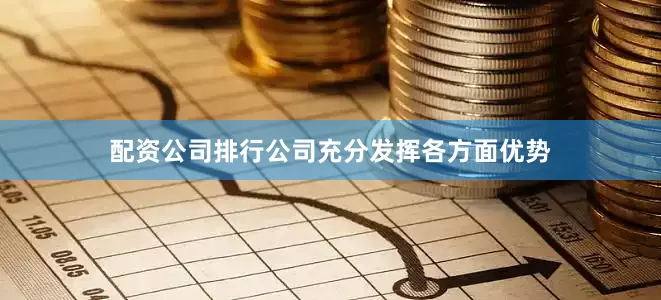 配资公司排行公司充分发挥各方面优势